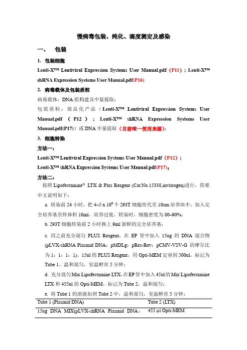 慢病毒包装、纯化、滴度测定及感染
