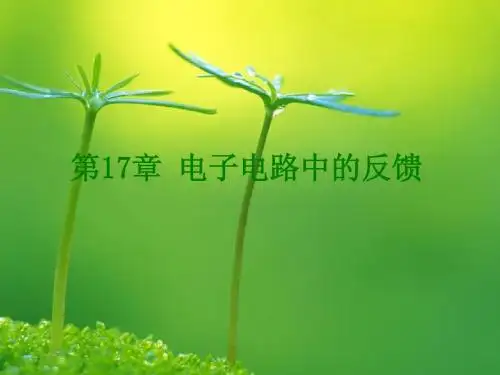 第17章  电子电路中的反馈