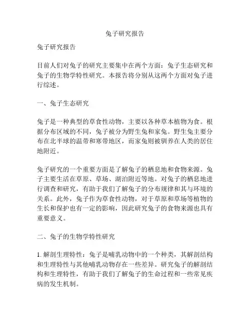 兔子研究报告