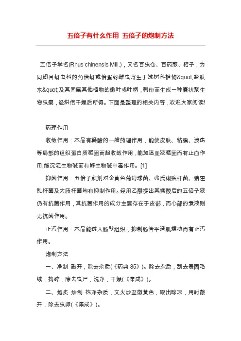 五倍子有什么作用五倍子的炮制方法