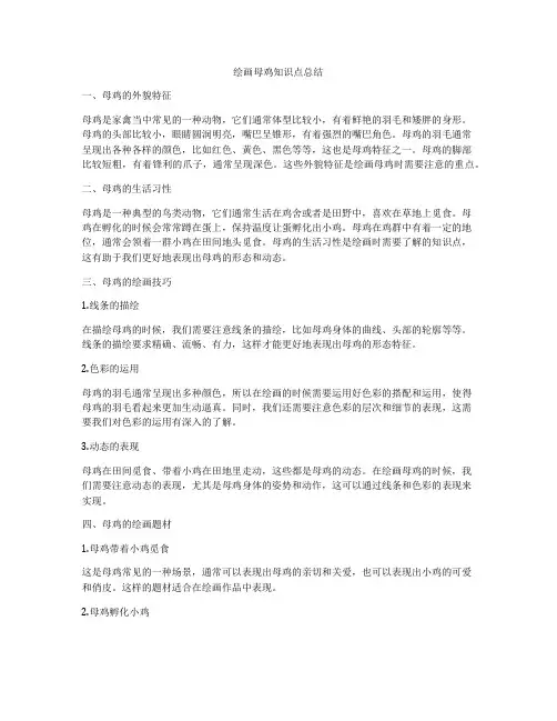 绘画母鸡知识点总结