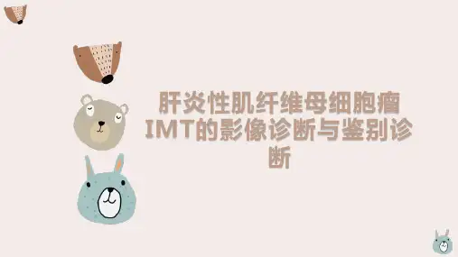 肝炎性肌纤维母细胞瘤IMT的影像诊断与鉴别诊断