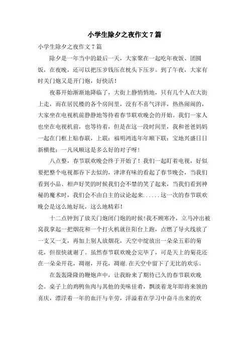 小学生除夕之夜作文7篇