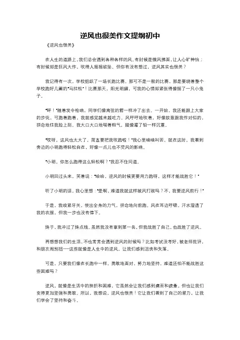 逆风也很美作文提纲初中