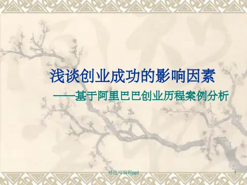 阿里巴巴创业分析