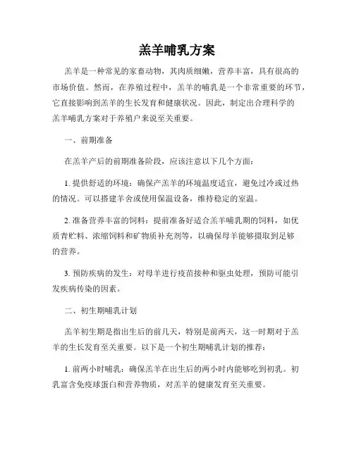 羔羊哺乳方案