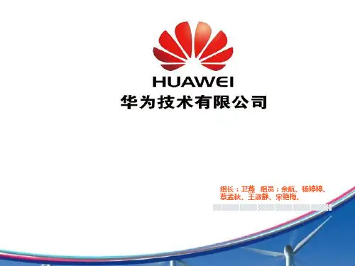 华为战略诊断报告ppt课件
