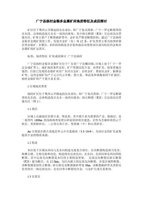 广宁县扬村金银多金属矿床地质特征及成因探讨