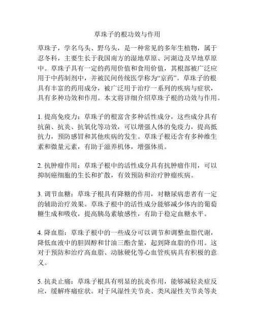 草珠子的根功效与作用