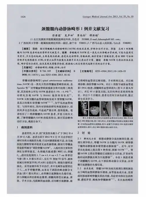 颈髓髓内动静脉畸形1例并文献复习