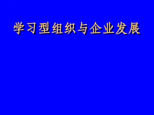 学习型组织与企业发展ppt课件