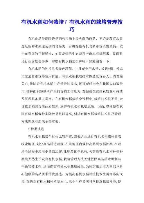 有机水稻如何栽培？有机水稻的栽培管理技巧