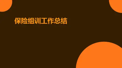 保险组训工作总结PPT