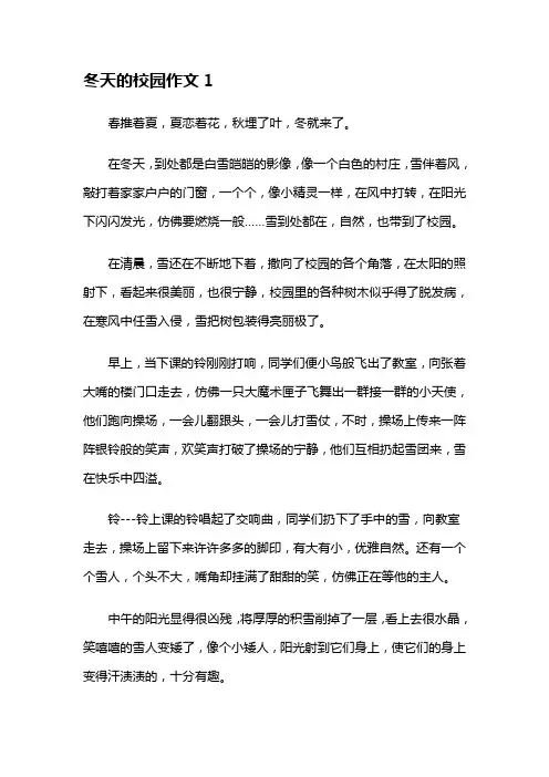 冬天的校园作文(15篇)