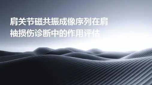 肩关节磁共振成像序列在肩袖损伤诊断中的作用评估