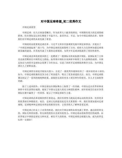 对中国足球希望_初二优秀作文