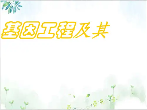 [人教版]《基因工程及其应用》实用课件1