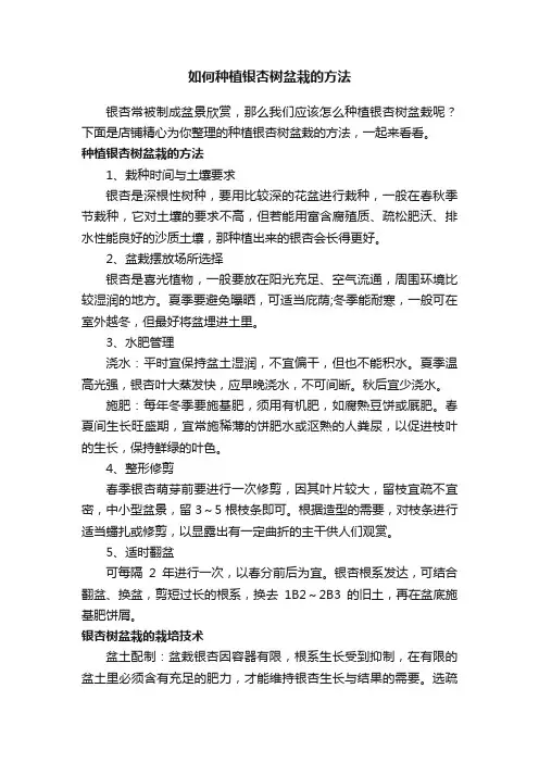 如何种植银杏树盆栽的方法