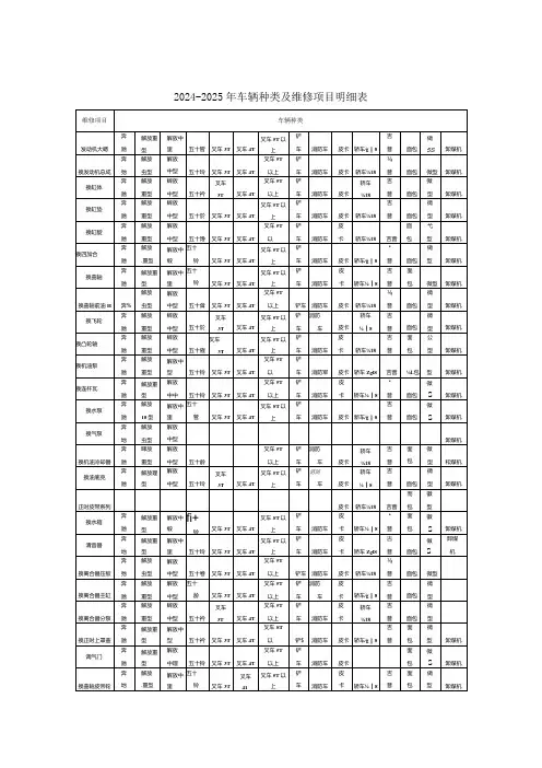 2024-2025年车辆种类及维修项目明细表