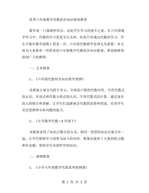 六年级数学代数初步知识教案