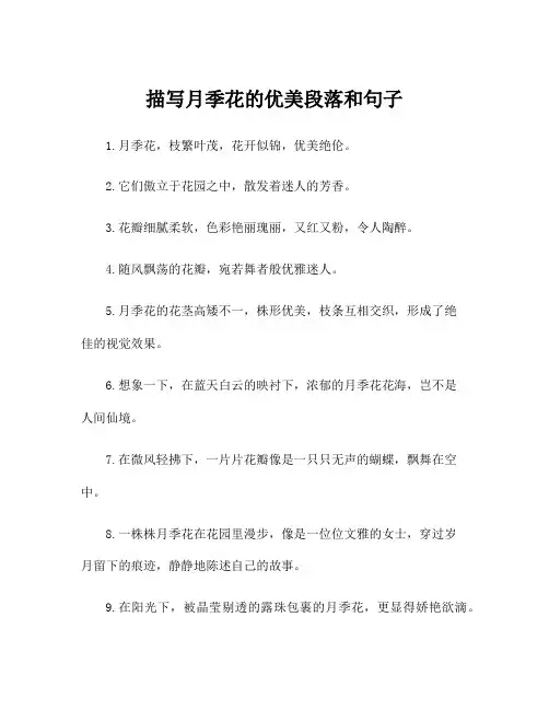 描写月季花的优美段落和句子