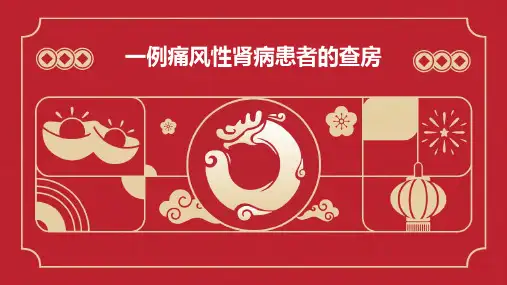 一例痛风性肾病患者的查房PPT