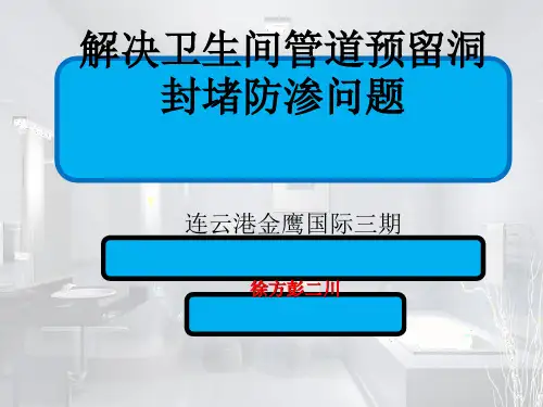 解决卫生间管道预留洞封堵防渗问题1006