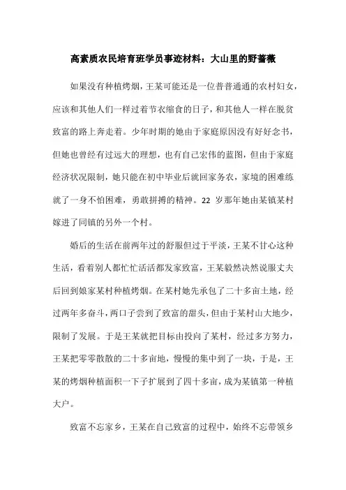 高素质农民培育班学员事迹材料：大山里的野蔷薇