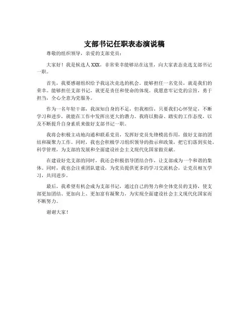 支部书记任职表态演说稿