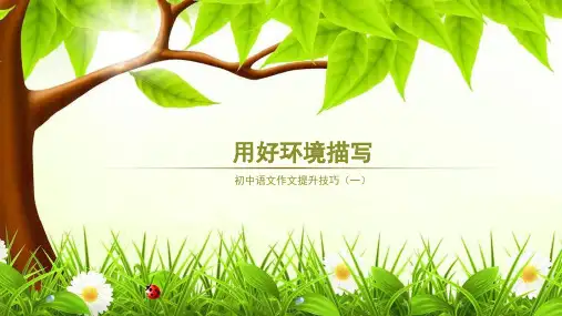 初中语文作文提升技巧(一)——用好环境描写课件(共24页)