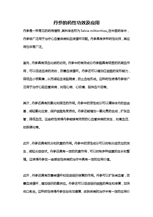 丹参的药性功效及应用