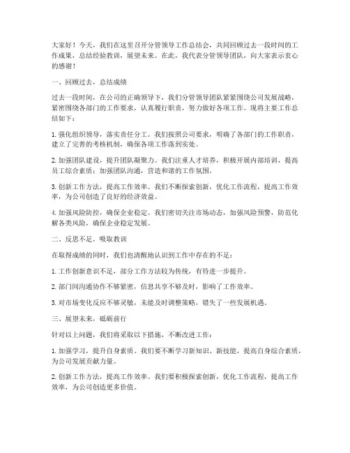 分管领导工作总结会发言稿
