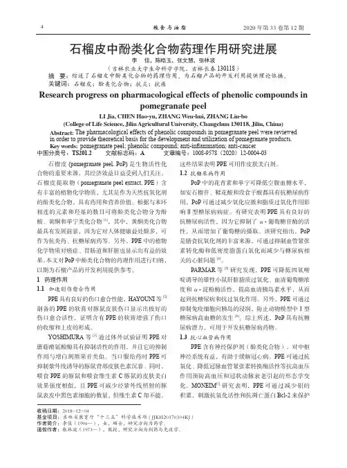 石榴皮中酚类化合物药理作用研究进展
