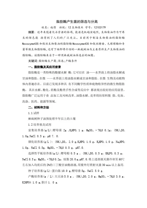 脂肪酶产生菌的筛选与分离