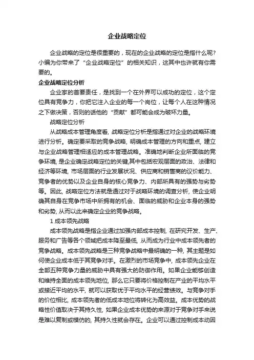 企业战略定位
