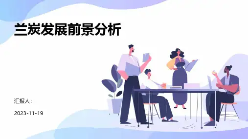 兰炭发展前景分析
