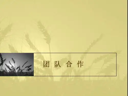 团队合作(新)