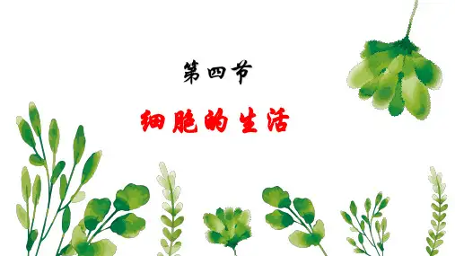 人教版七年级生物上册 .4 细胞的生活 