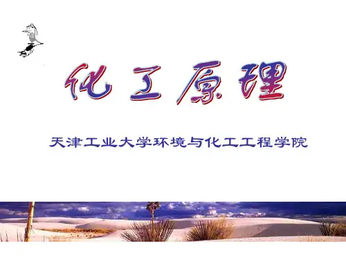 化工原理 天大出版社  2010精馏1