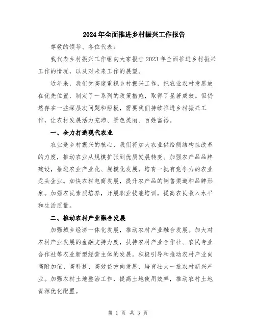 2024年全面推进乡村振兴工作报告