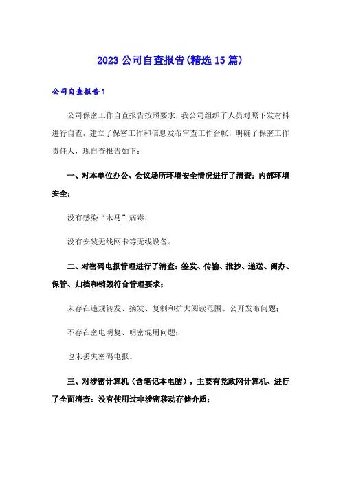 2023公司自查报告(精选15篇)