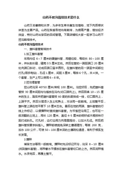 山药不挖沟栽培技术是什么