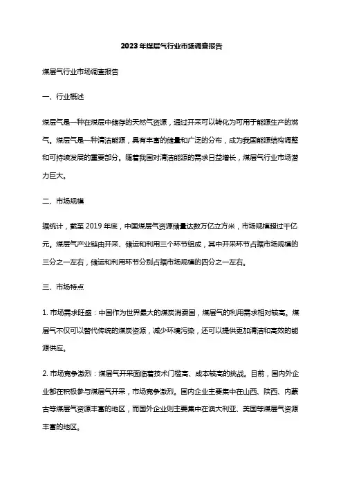2023年煤层气行业市场调查报告