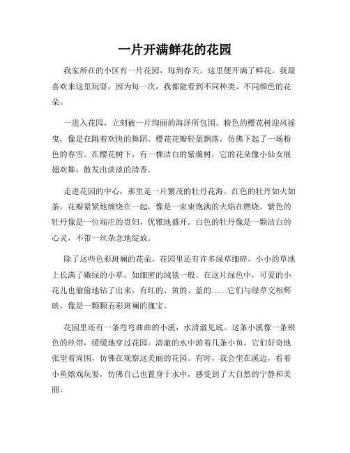 小学三年级作文这儿真美范文一片开满鲜花的花园