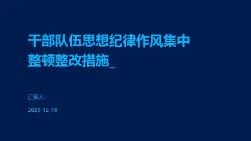 干部队伍思想纪律作风集中整顿整改措施_