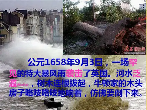 三年级语文上册《牛顿在暴风雨中》课件2 沪教沪教件