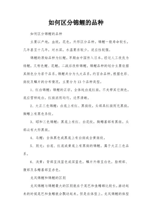如何区分锦鲤的品种