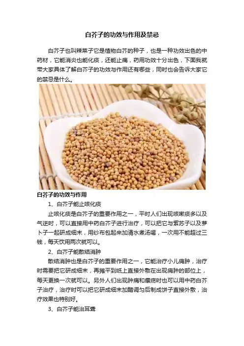 白芥子的功效与作用及禁忌