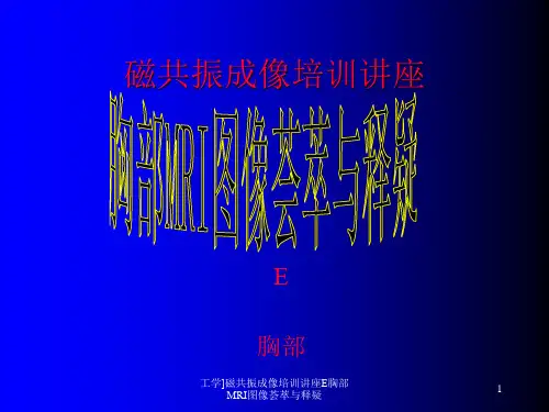 工学磁共振成像培训讲座E胸部MRI图像荟萃与释疑课件