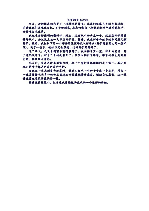 关于黄豆发芽的过程三年级作文